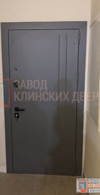 простая квартирная дверь с тиснением на металле и порошковой окраской снаружи